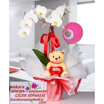 Sincan Çiçek Siparişi - Sevgiliye-Eşe-Anneye Ucuz Orkide